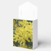Branch of mimosa geschenkschachtel (Geöffnet)