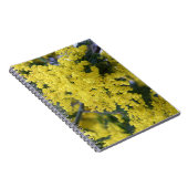 Branch of mimosa notizblock (Rechte Seite)