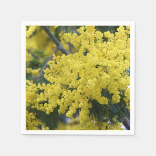 Branch of mimosa serviette (Vorderseite)