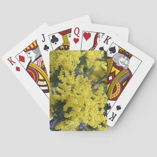 Branch of mimosa spielkarten (Rückseite)