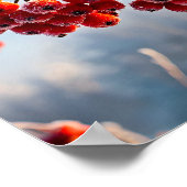 Branch of vibrant red berries poster (Ecke)