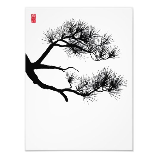 Branch Pine Tree - Zen Wall Art - Minimalistische Fotodruck (Vorne)