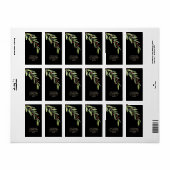 Branch und Berries Black Christmas Rücksendeadress Adressaufkleber (Vorne)