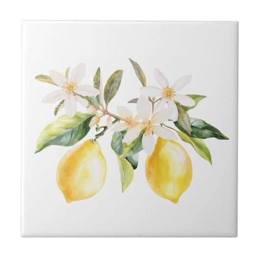 Branch Zitronenfrüchte und Weiße Blume Fliese (Vorderseite)