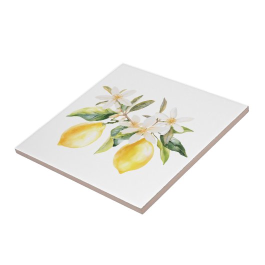 Branch Zitronenfrüchte und Weiße Blume Fliese (Seite)