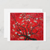 Branches of Almond Tree in Blossom, Van Gogh Postkarte (Vorne/Hinten)