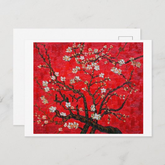 Branches of Almond Tree in Blossom, Van Gogh Postkarte (Vorne/Hinten)