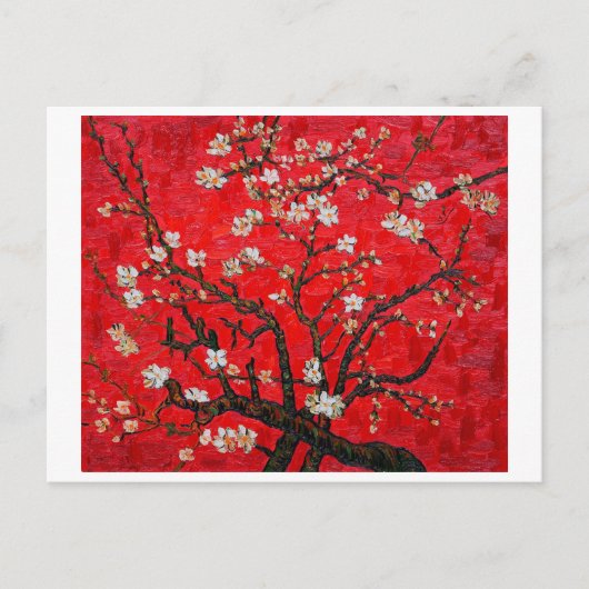 Branches of Almond Tree in Blossom, Van Gogh Postkarte (Vorderseite)