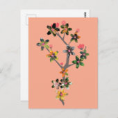 Branches of Insects Postkarte (Vorne/Hinten)