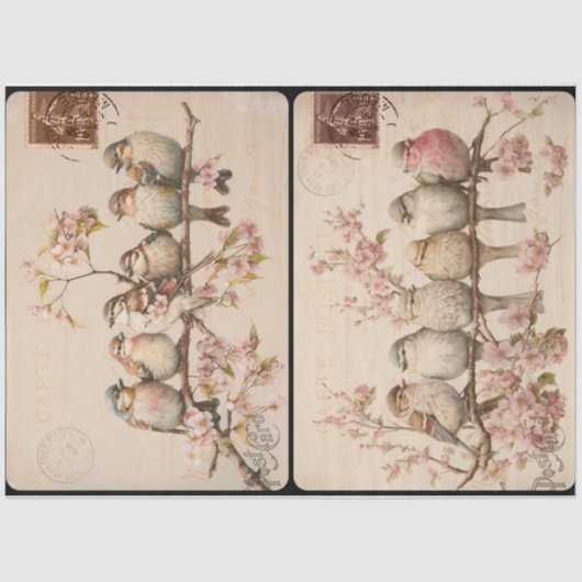 Branchy Birds Seidenpapier (Vorderseite)