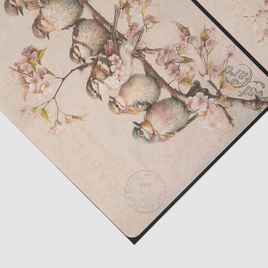Branchy Birds Tissue Paper Seidenpapier (Ausschnitt)