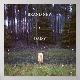 Brand New Daisy Poster