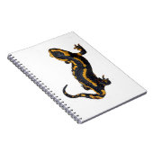 Brand Salamander Spiral Notebook Notizblock (Rechte Seite)