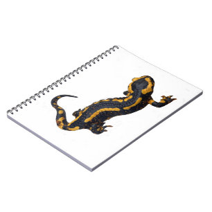 Brand Salamander Spiral Notebook Notizblock