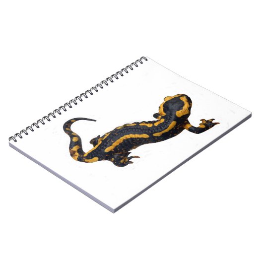 Brand Salamander Spiral Notebook Notizblock (Linke Seite)