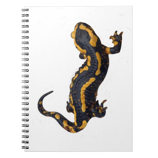 Brand Salamander Spiral Notebook Notizblock (Vorderseite)