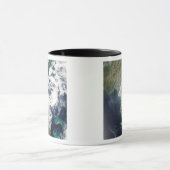 Brände und Rauch in Georgien und Florida Tasse (Zentrum)