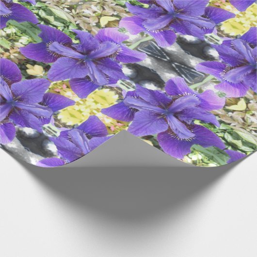 Brandeis Geschenkpapier (Ecke)