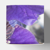 Brandeis Geschenkschachtel (Oben)