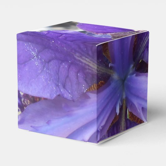 Brandeis Geschenkschachtel (Rückseite)