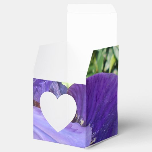 Brandeis Geschenkschachtel (Geöffnet)