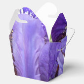 Brandeis Geschenkschachtel (Geöffnet)