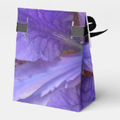 Brandeis Geschenkschachtel (Rückseite)