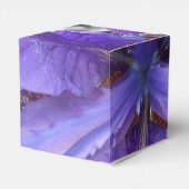 Brandeis Geschenkschachtel (Rückseite)