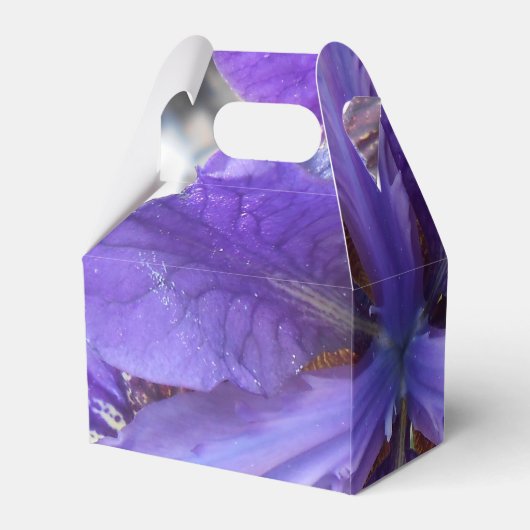 Brandeis Geschenkschachtel (Rückseite)