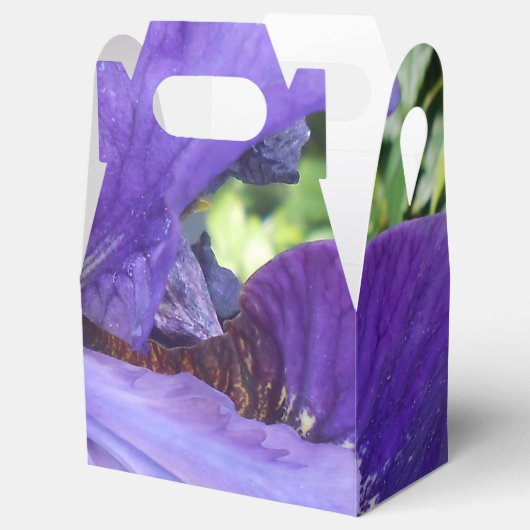 Brandeis Geschenkschachtel (Geöffnet)