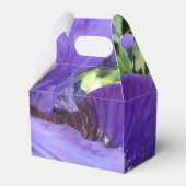 Brandeis Geschenkschachtel (Vorderseite)