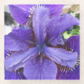 Brandeis Glasuntersetzer (Vorderseite)