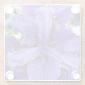 Brandeis Glasuntersetzer (Rückseite)