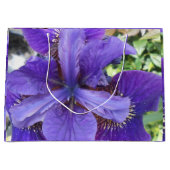 Brandeis Große Geschenktüte (Vorderseite)