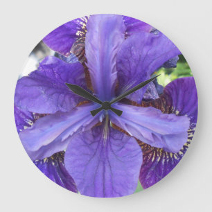 Brandeis Große Wanduhr