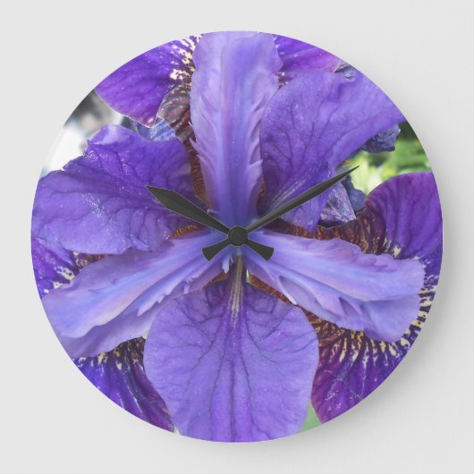 Brandeis Große Wanduhr (Vorderseite)