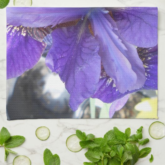 Brandeis Handtuch (Gefaltet)