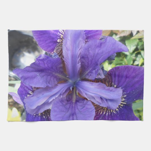 Brandeis Handtuch (Horizontal)