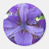 Brandeis Magnet (Vorne)