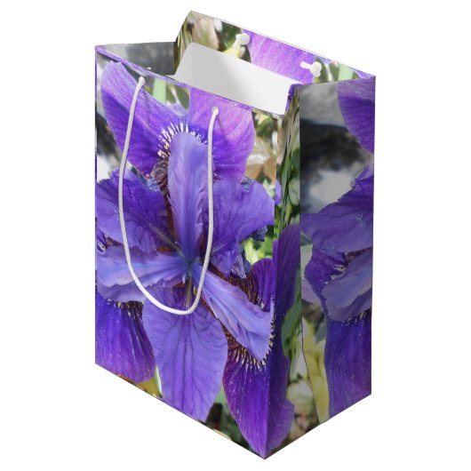 Brandeis Mittlere Geschenktüte (Vorderseite Schrägansicht)