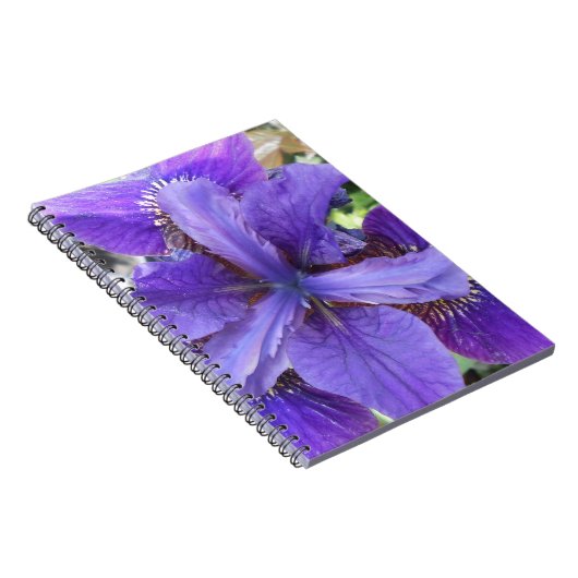 Brandeis Notizblock (Rechte Seite)