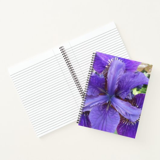 Brandeis Notizbuch (Innenseite)