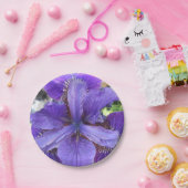 Brandeis Pappteller (Party)