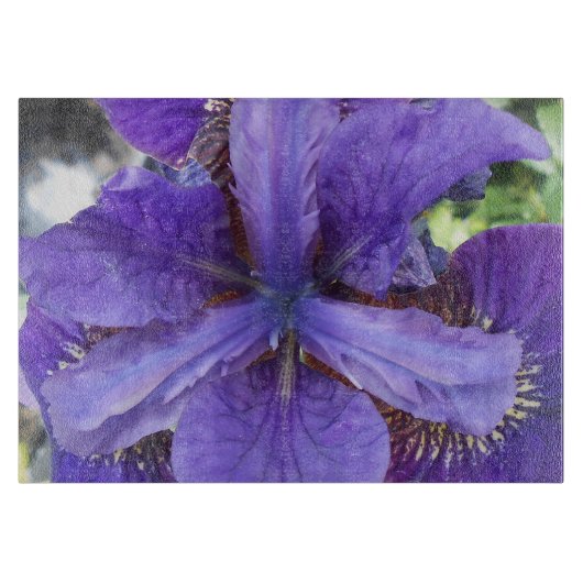 Brandeis Schneidebrett (Vorderseite)