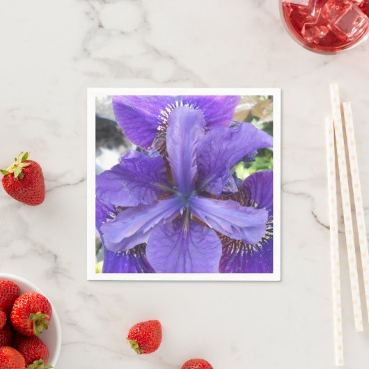 Brandeis Serviette (Beispiel)