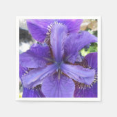 Brandeis Serviette (Vorderseite)