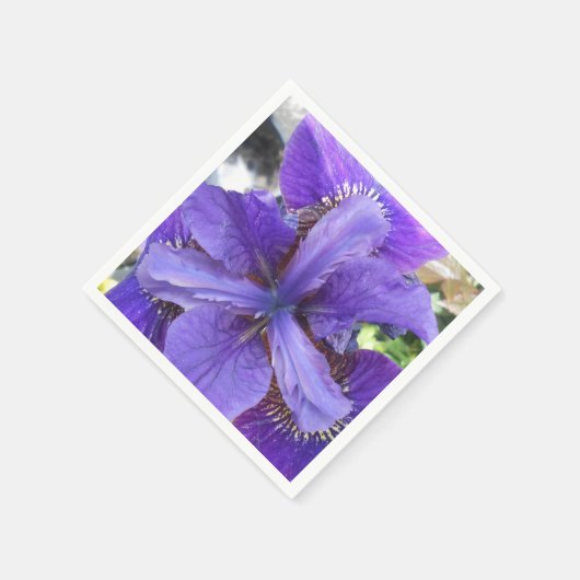 Brandeis Serviette (Ecke)