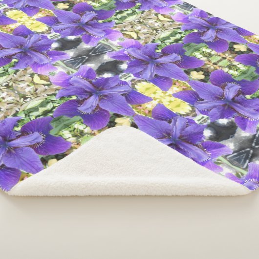 Brandeis Sherpadecke (3/4)