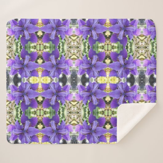 Brandeis Sherpadecke (Vorderseite (Horizontal))