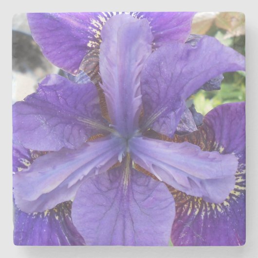 Brandeis Steinuntersetzer (Vorderseite)